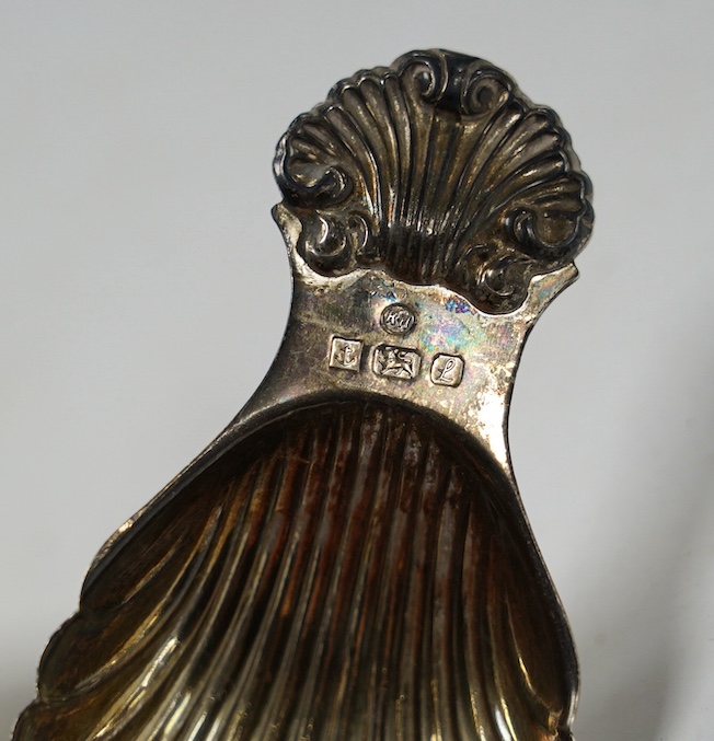 Five assorted silver caddy spoons, including fiddle pattern by Hayne & Cater, London, 1843, foliate terminal handled by George Unite, Birmingham, 1845, bone handled by Hilliard & Thomason, Birmingham, 1879, modern shell